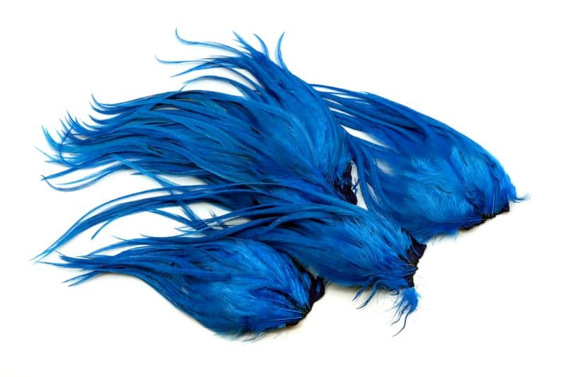 Whiting Bugger Pack White dyed Kingfisher Blue view 4
