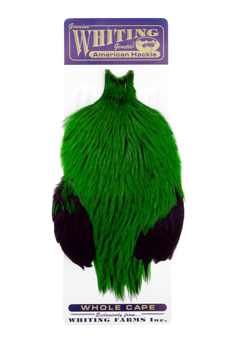 American Rooster Cape Badger dyed Highlander Green view 3