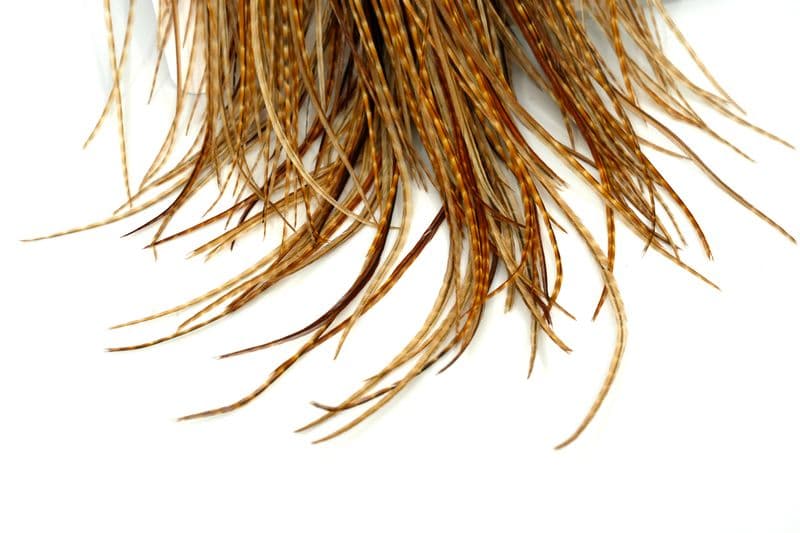 Whiting Silver Saddle Barred Dark Ginger view 5