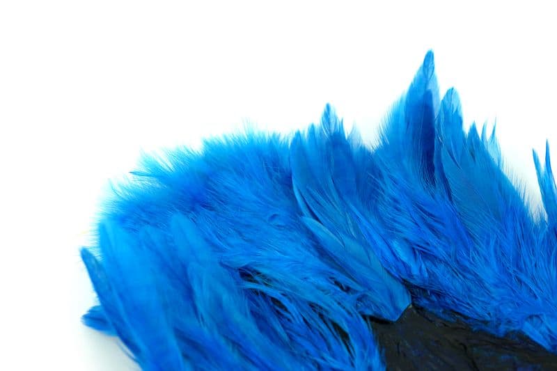 American Hen SH/C White dyed Kingfisher Blue view 1