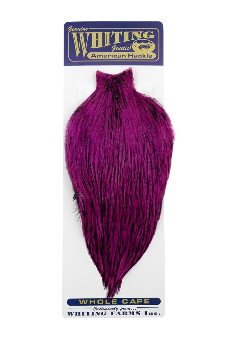 American Rooster Cape BLW dyed Magenta view 3
