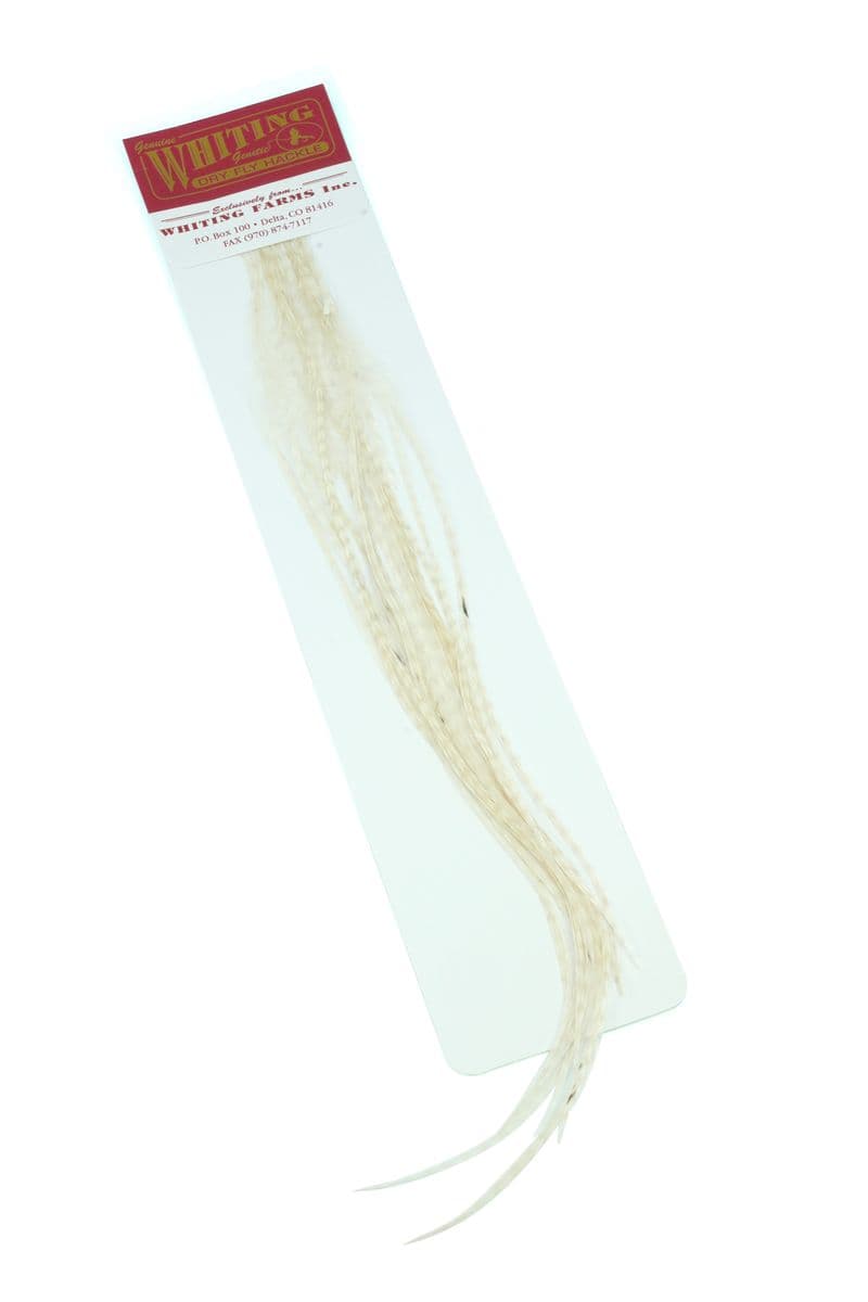 Whiting 100 Pk Size 16 White view 1