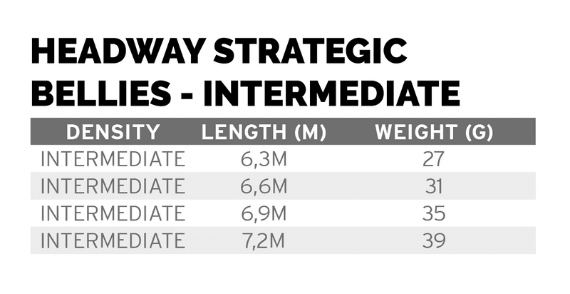 Headway Strategic Intermediate 39 g view 7