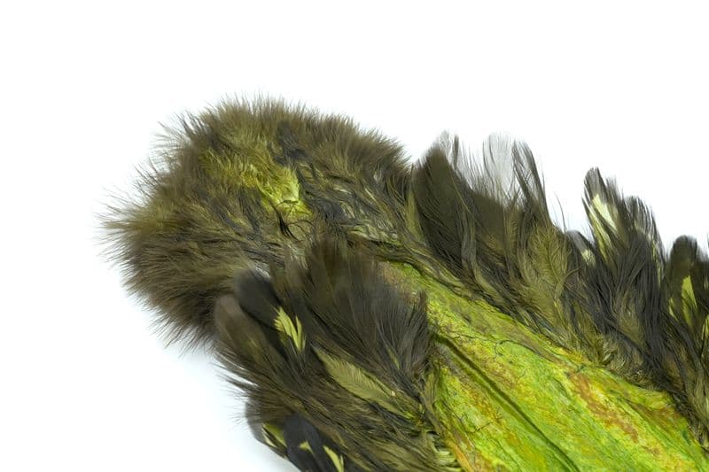 American Hen SH/C BLW dyed Olive view 1