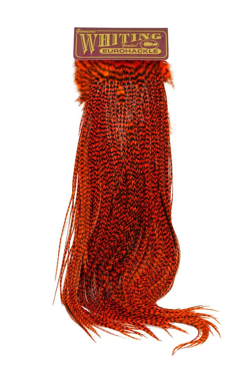 Eurohackle Saddle Grizzly dyed Orange view 3