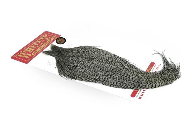 Whiting Bronze Cape Grizzly dyed Dun view 2