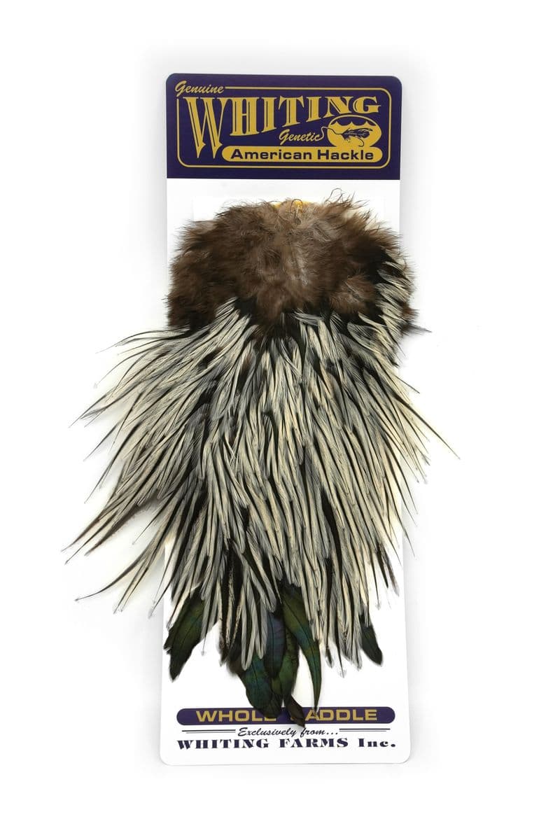 American Rooster Saddle Silver Badger view 3
