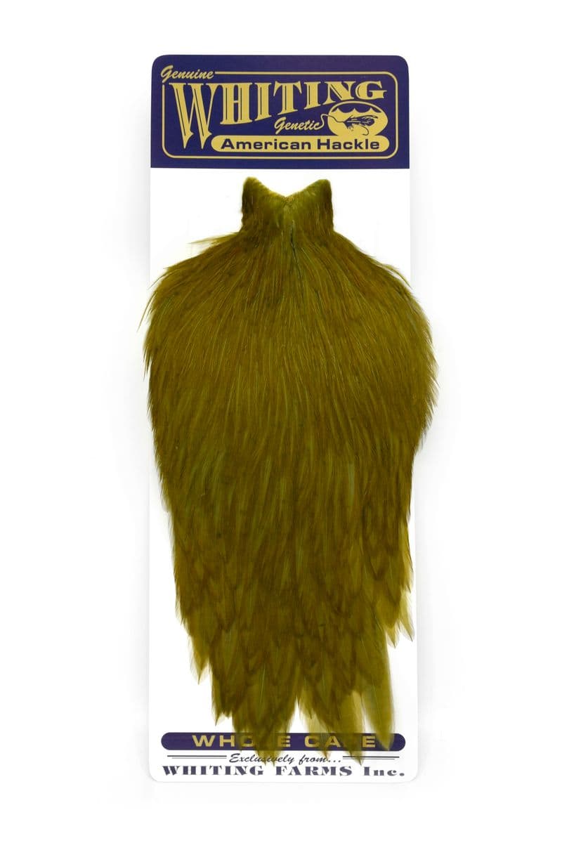 American Rooster Cape White dyed Dark Olive view 3