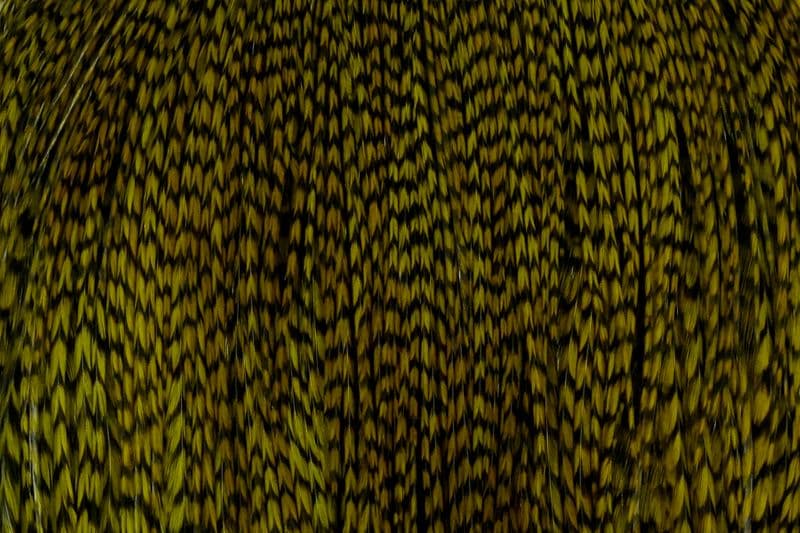Whiting Commercial Cape Grizzly dyed Dk Olive view 1