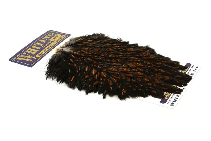 American Hen Saddle Black laced Brown view 2