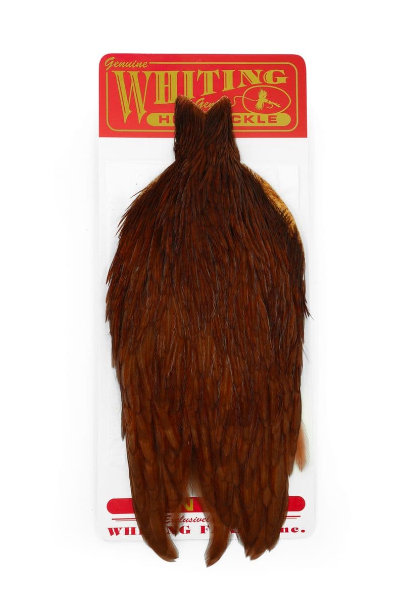 Whiting Hen Cape White dyed Brown view 2