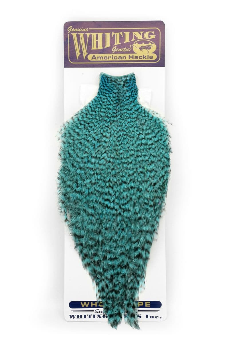 American Rooster Cape Grizzly dyed Silver Dr. Blue view 3