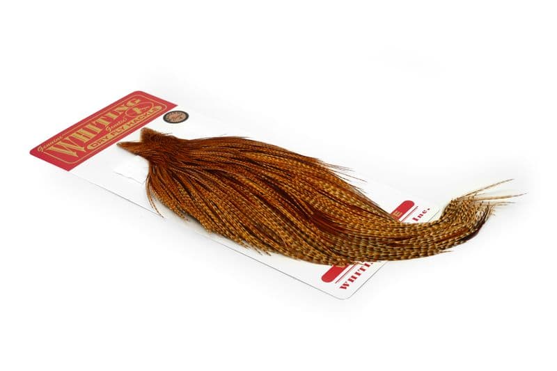 Whiting Bronze Cape Barred Dark Ginger view 2