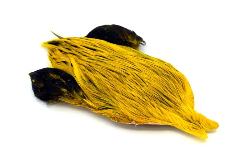 Brahma Rooster Cape Badger dyed Yellow view 2