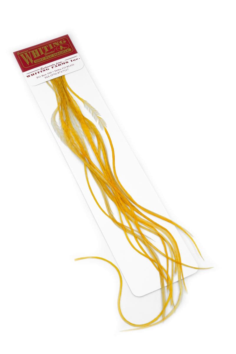 Whiting 100 Pk Size 16 Medium Ginger view 1