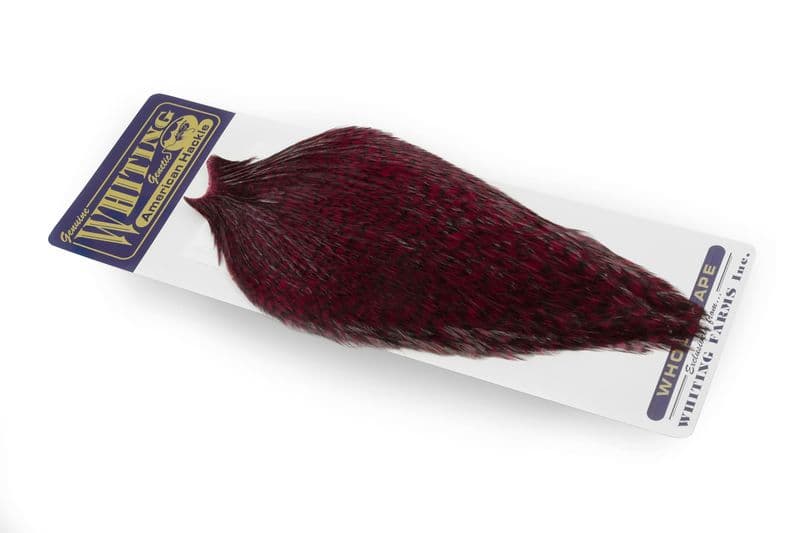 American Rooster Cape Grizzly dyed Claret view 2