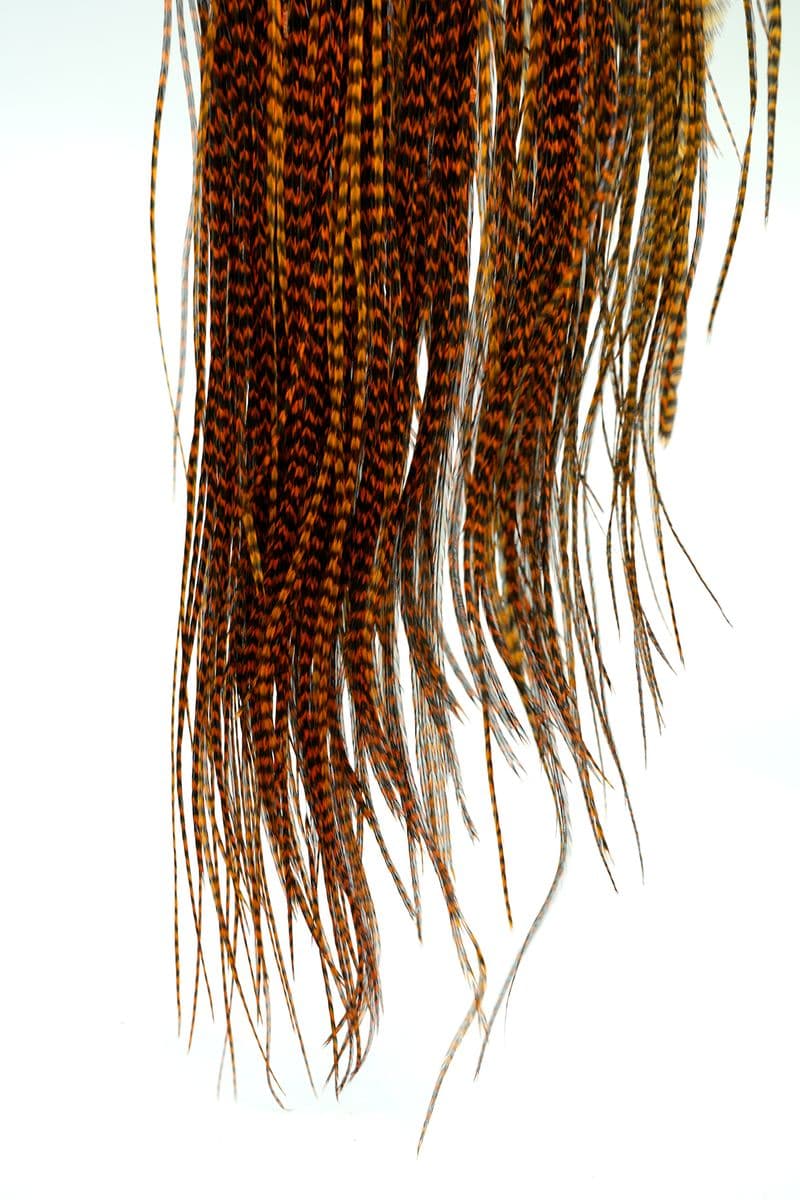 Eurohackle Saddle Grizzly dyed Burnt Orange view 4
