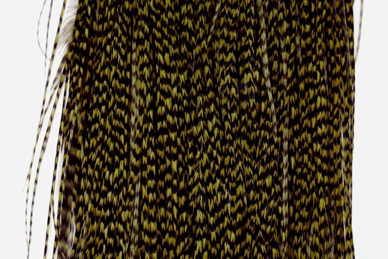 Whiting Bronze Midge Saddle Grizzly dyed Dark Olive view 1