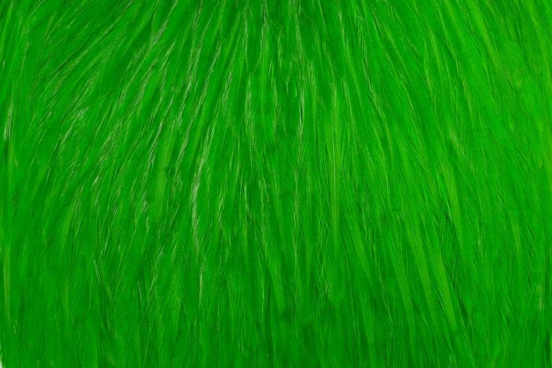 American Rooster Cape White dyed Highlander Green view 1