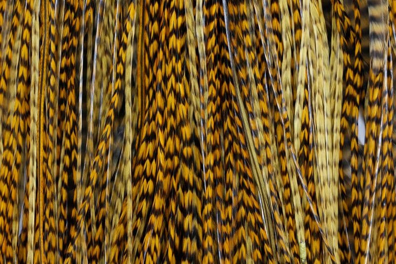 Whiting Silver Saddle Grizzly dyed Golden Olive view 1