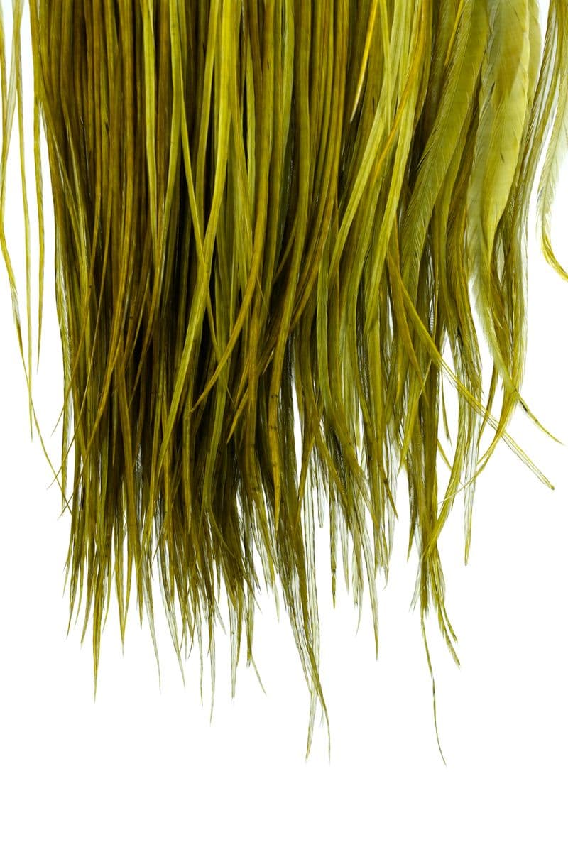 Eurohackle Saddle White dyed Dark Olive view 4