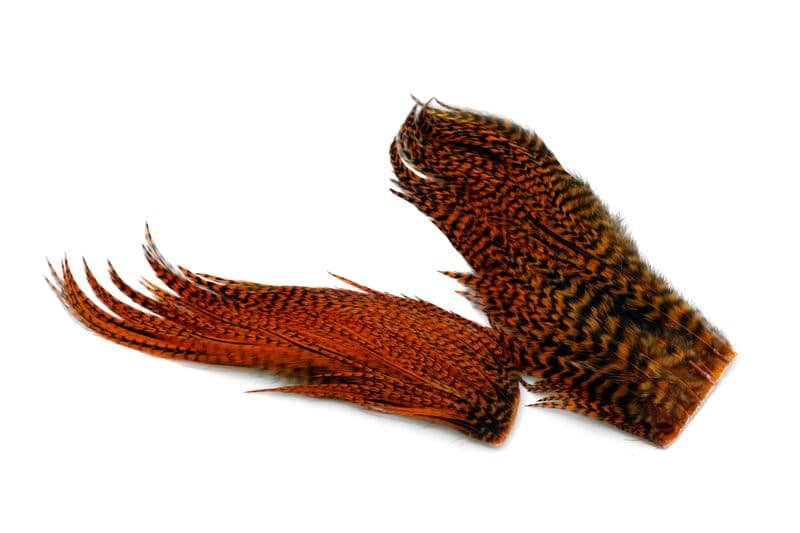 Whiting Bugger Pack Grizzly dyed Burnt Orange view 4