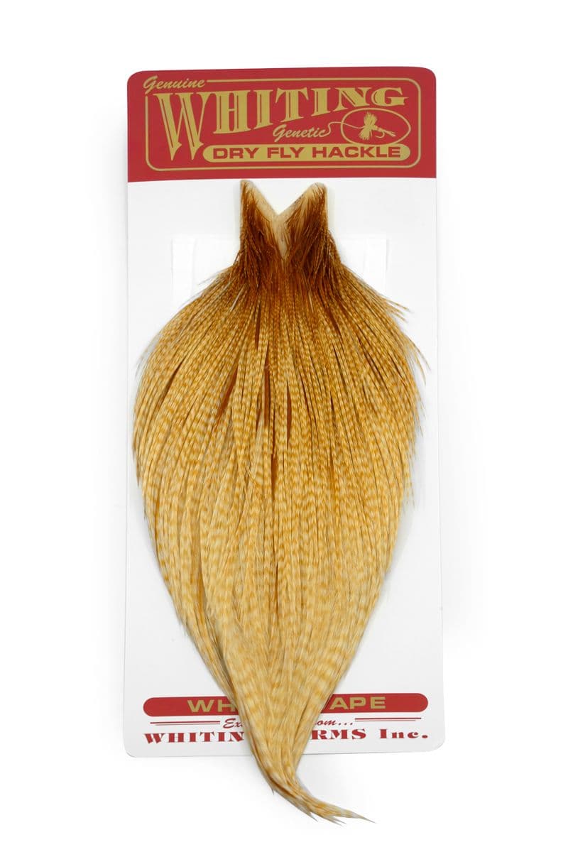 Whiting Commercial Cape Barred Medium Ginger view 3
