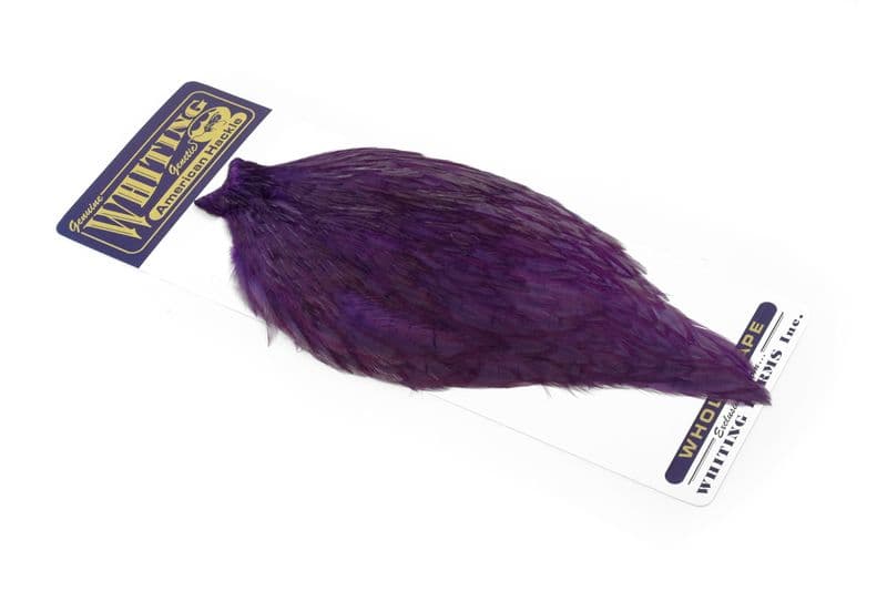 American Rooster Cape White dyed Purple view 2
