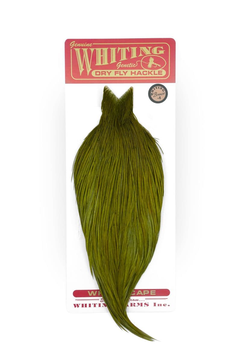 Whiting Bronze Cape White dyed Dark Olive view 3