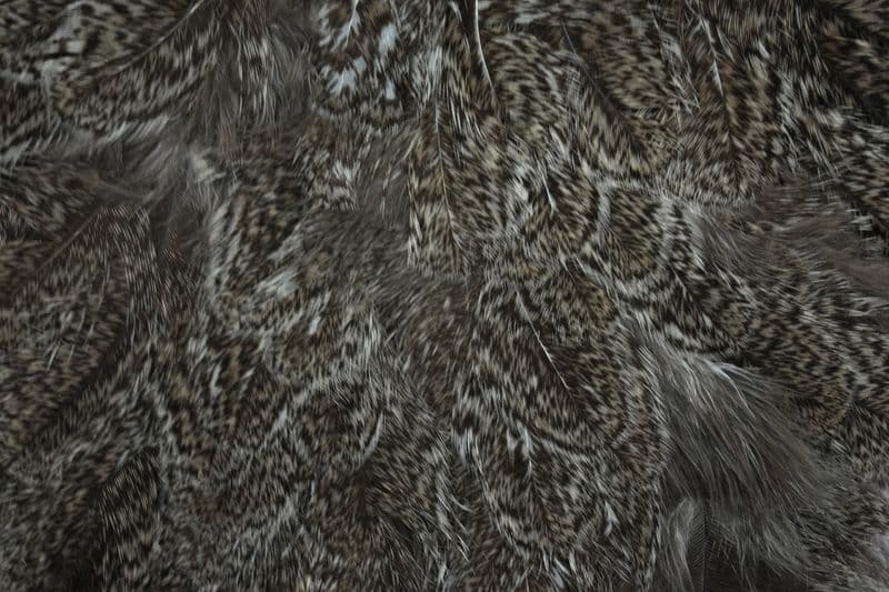 Coq De Leon Hen SH/C Natural Speckled view 1