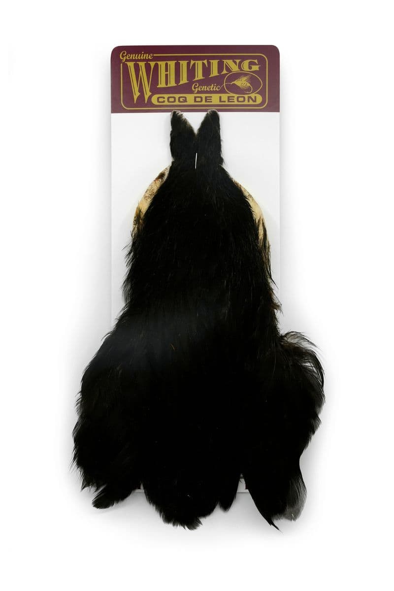 Coq de Leon Hen Cape Black view 3
