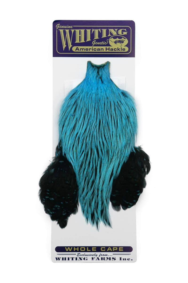 American Rooster Cape Badger dyed Silver Dr. Blue view 3