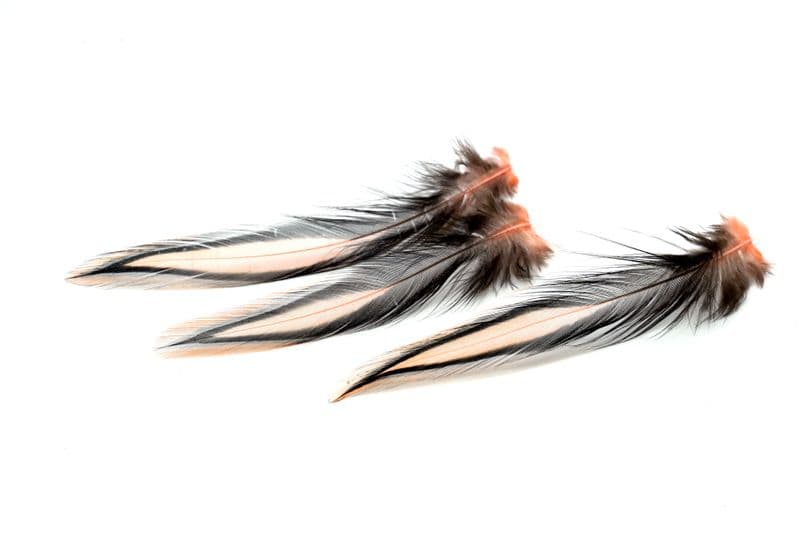American Rooster Cape BLW dyed Salmon view 5