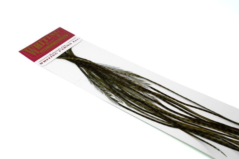 Whiting 100 Pk Size 16 Grizzly dyed Dark Olive view 3