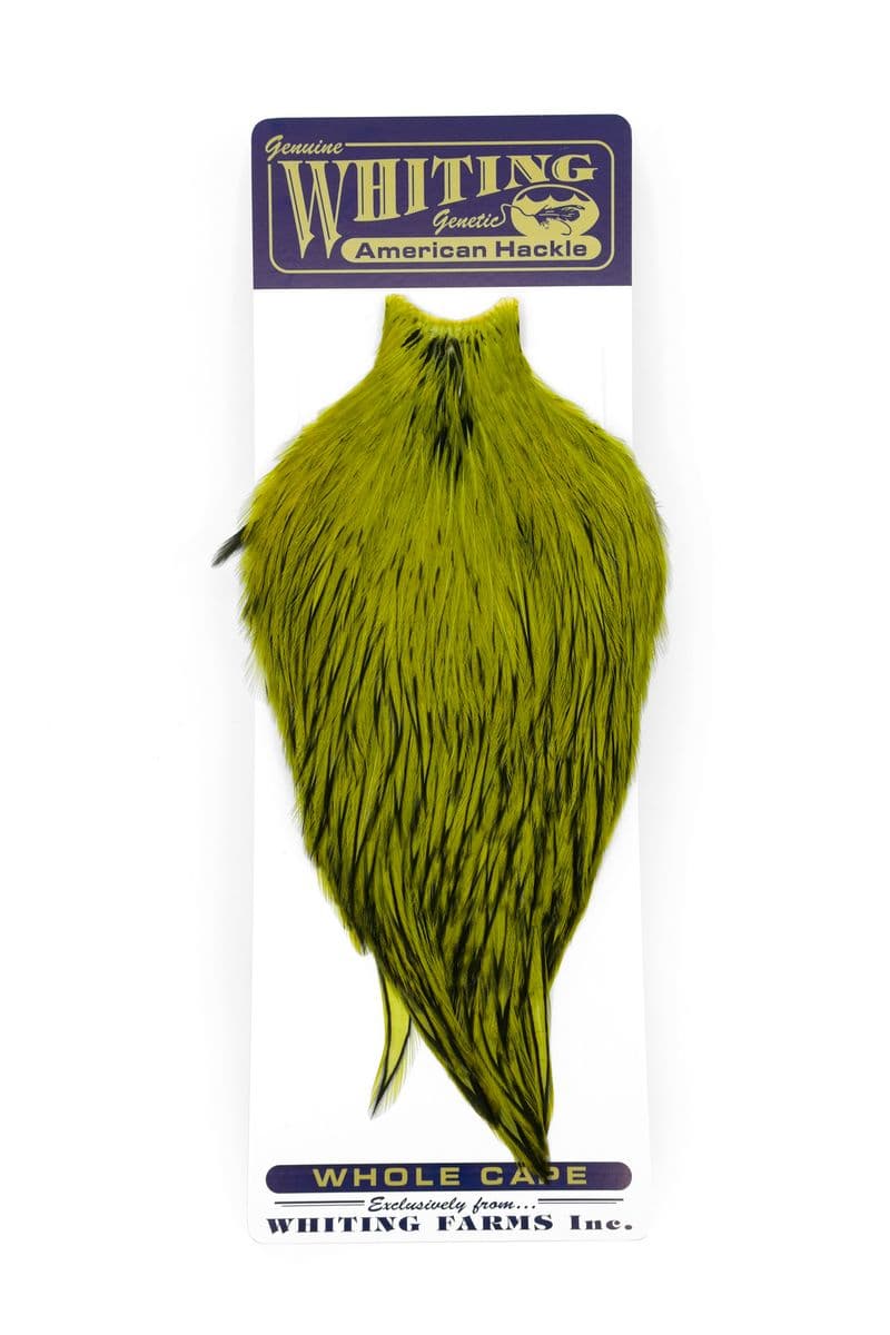 American Rooster Cape BLW dyed Olive view 3