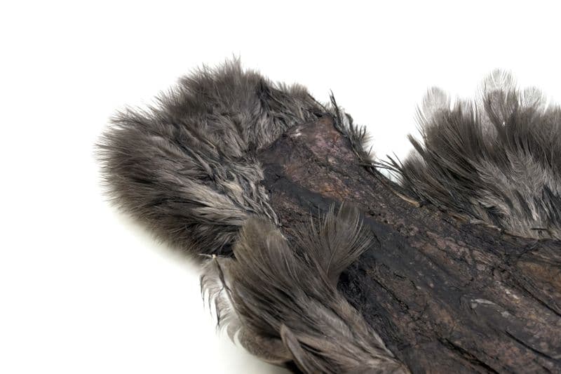 Brahma Hen SH/C Mottled Grey dyed Dark Dun view 1