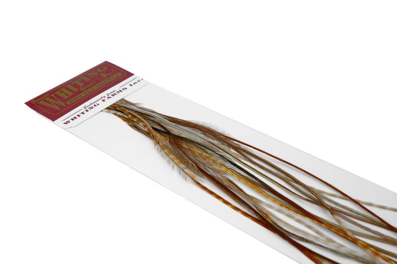 Whiting 100 Pk Size 18 Barred Dark Ginger view 3