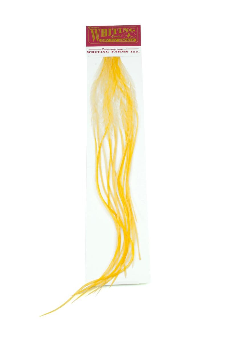 Whiting 100 Pk Size 16 White dyed Golden Straw view 2