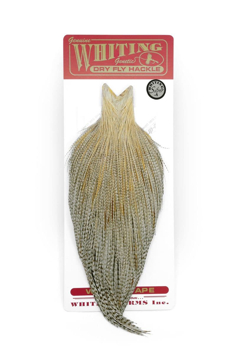 Whiting Silver Cape Unique Variant view 2