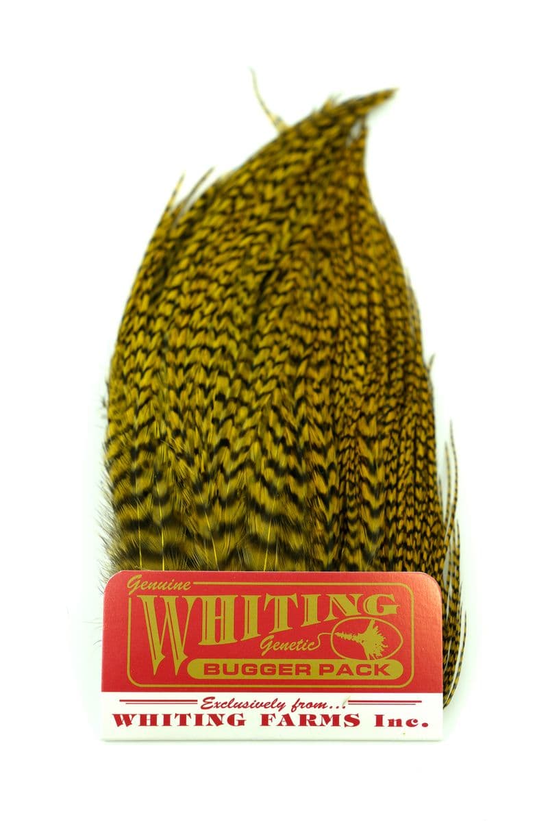Whiting Bugger Pack Grizzly dyed Golden Olive view 3