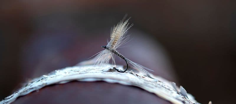 FW502 Dry Fly Light Barbed #