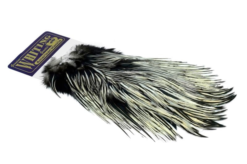 American Rooster Saddle Black laced White view 2