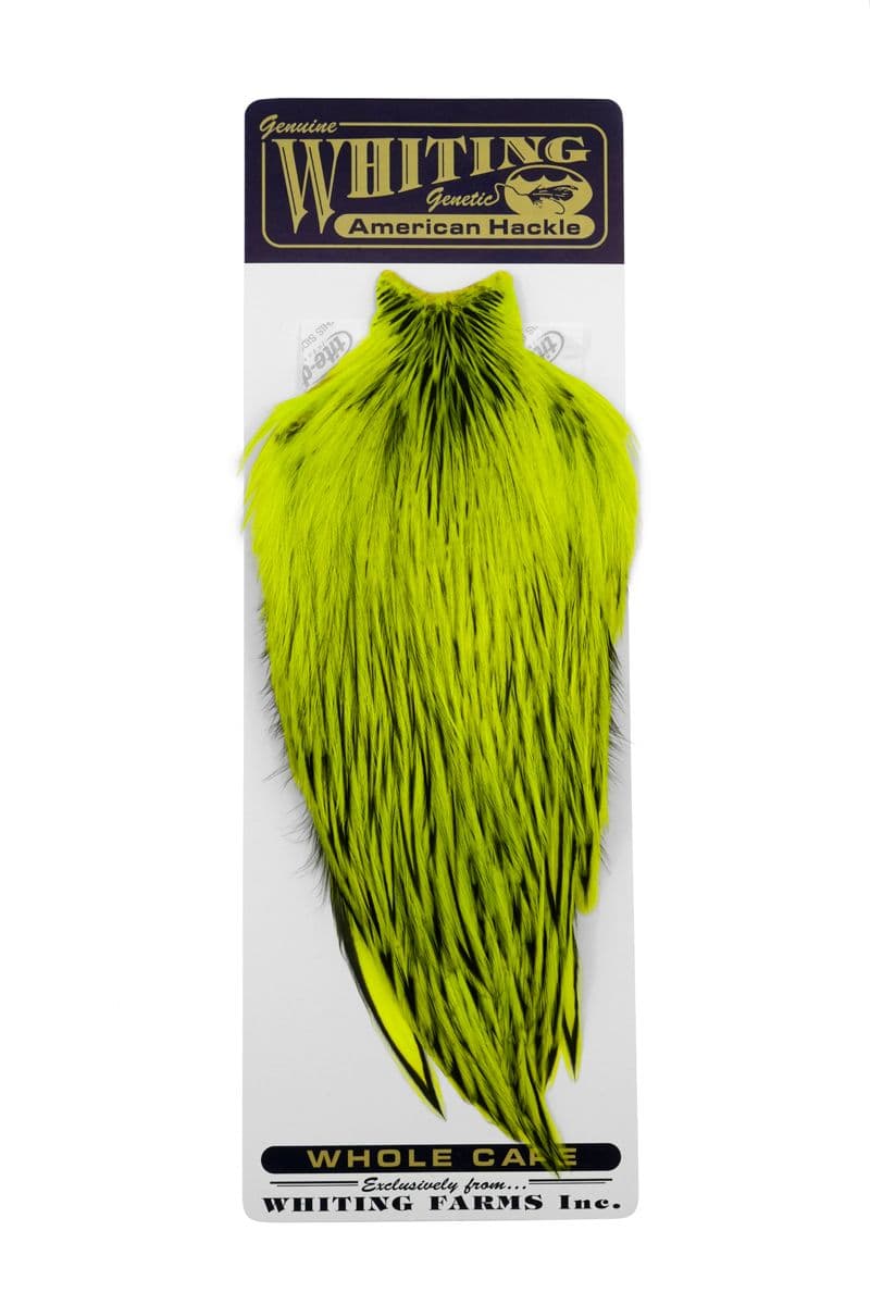 American Rooster Cape BLW dyed Fl. Yellow Chartr view 3