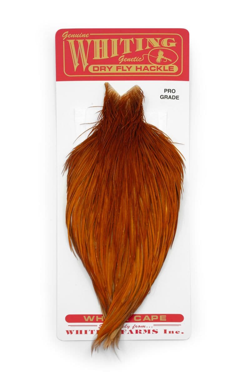 Whiting Pro Grade Cape Medium Ginger view 3
