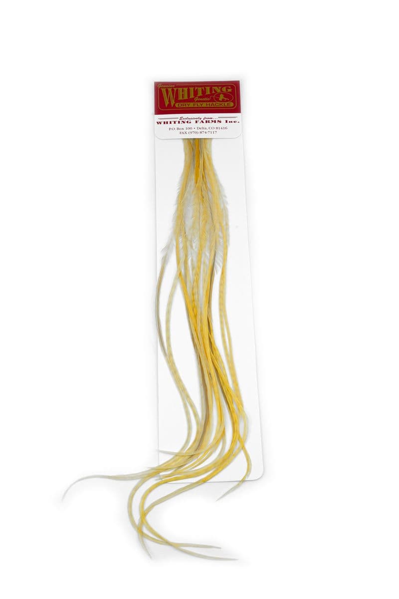 Whiting 100 Pk Size 16 Light Ginger view 2