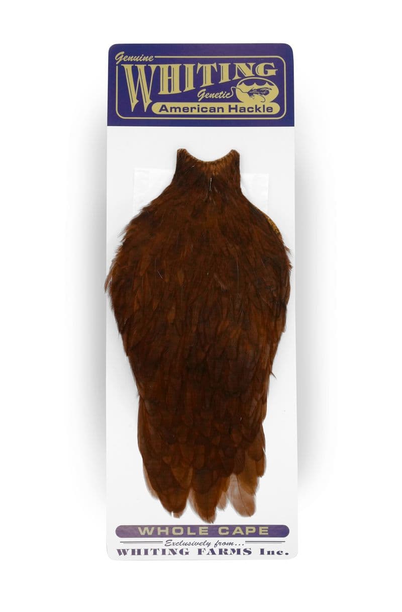 American Rooster Cape White dyed Coachman Brown view 3