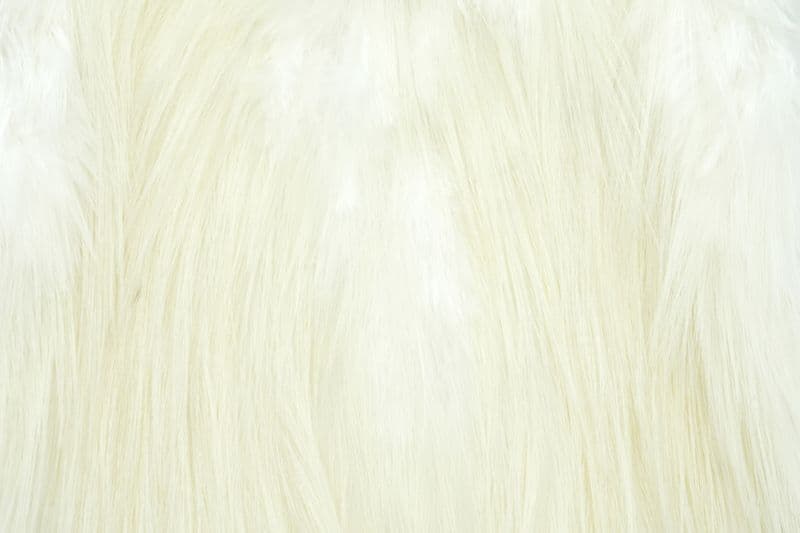 Spey Hackle Rooster Saddle Bronze White