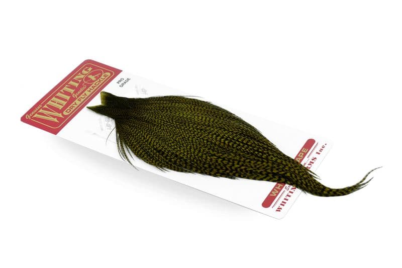 Whiting Pro Grade Cape Grizzly dyed Dark Olive view 2