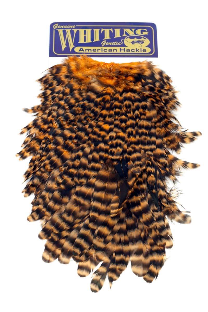 American Hen Saddle Grizzly dyed Shrimp Orange view 3