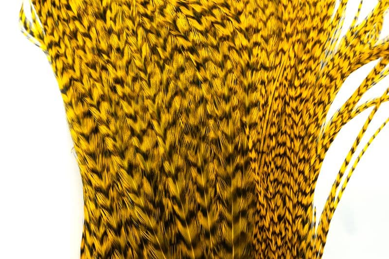 Whiting Bugger Pack Grizzly dyed Yellow view 1